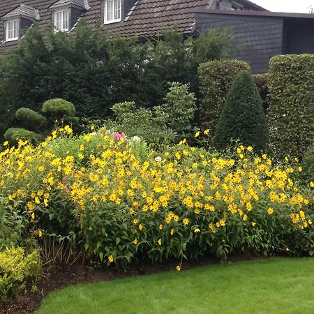 Ξενοδοχείο Huetter